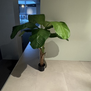 Kunstplant Colours&Green, Royal Banana Tree